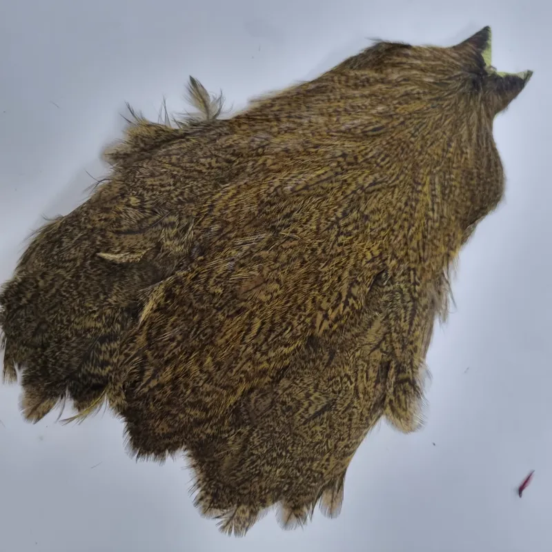 Whiting Coq de Leon Hen Cape in Speckled Olive-4